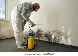 Professional Mold Removal & Remediation in Springfield, IL